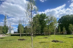 В тамбовском парке культуры посадили 30 молодых деревьев