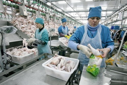 В этом году Тамбовская область отправила на экспорт 16 тысяч тонн мяса птицы