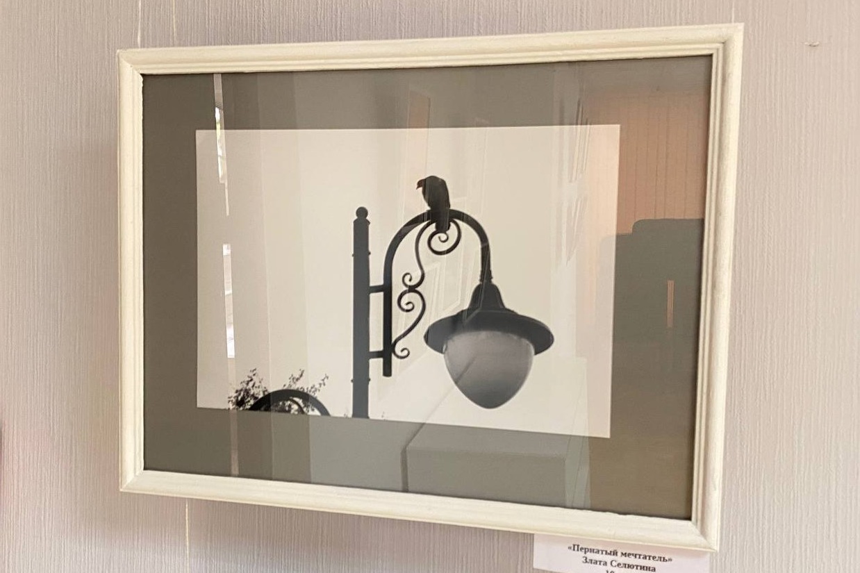 Удостоившийся комплимента опытного фотографа снимок, сделанный Златой Селютиной