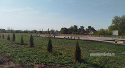 В Гавриловском округе завершили первый этап строительства сквера «Олимпийский» 