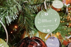 Тамбовчан приглашают присоединится к «Ёлке желаний» 