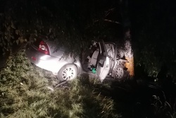 В Гавриловском районе водитель "ВАЗа" врезался в дерево