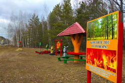 В Тамбовской области лесоводы благоустраивают места для отдыха