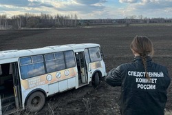 В Мичуринском округе в результате ДТП пострадали пять подростков