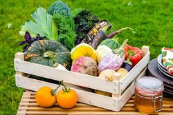 Тамбовские фермеры могут продавать свои продукты на новой цифровой площадке