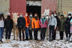 Волонтёры тамбовского отряда «Лиза Алерт» просят помочь с транспортом для конных расчётов