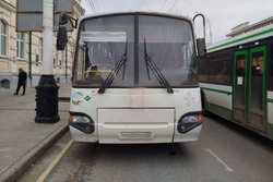 В Тамбове водитель автобуса сбил подростка на пешеходном переходе