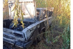 Житель Мичуринска в ходе конфликта сжёг чужой автомобиль