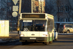 В Тамбове в Крещенскую ночь будет продлена работа автобусов по четырём маршрутам
