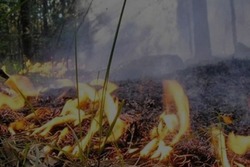 На Тамбовщине продолжается действие пятого класса пожарной опасности