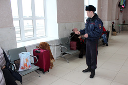 Школьники Тамбовского района узнали, как установить личность по отпечаткам пальцев и увидели работу служебных собак