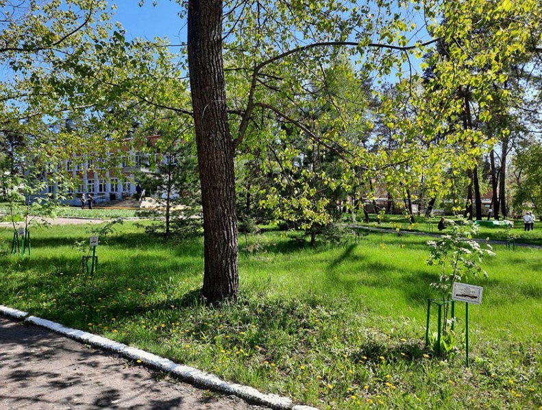 Пройденная территория. Харцызск благоустройство