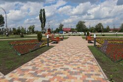 Благоустроенные дворы, парки и скверы: «Народная инициатива» помогла тамбовчанам реализовать более 250 проектов в этом году