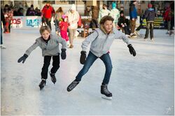 В Тамбове проведут мастеры-классы по катанию на коньках
