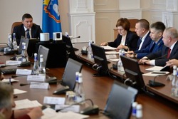 Простудные заболевания и учет домашних животных —  на повестке дня предстоящей планерки Евгения Первышова