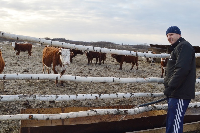 овцеводство аргентины. животноводов 5. нью мексико сельское хозяйство. фермер животновод. животноводов 5.