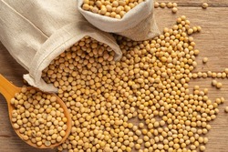 Моршанские аграрии приступили к уборке сои