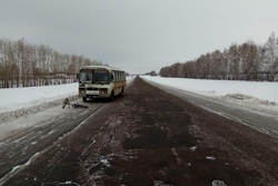 В Уваровском районе автобус сбил велосипедиста