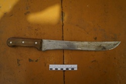 Житель Моршанска осуждён за зверское убийство супруги