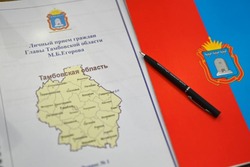Благоустройство, капремонт и восстановление моста: Максим Егоров провел личный приём граждан