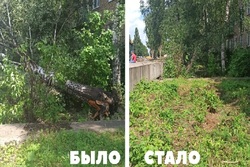 В Мичуринске устраняют последствия мощного урагана