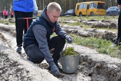 В Тамбовской области стартовала международная акция «Сад памяти» 