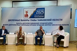 Тамбовские политологи сошлись в оценке выборов главы региона 