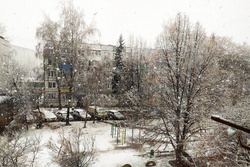 В Тамбовской области ожидается мокрый снег с дождём