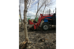 В Тамбове приступили к уборке городских пляжей