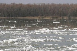 В Тамбовской области наблюдение за паводком ведут на 11 гидропостах