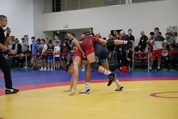 В Тамбове прошло первенство области по греко-римской борьбе
