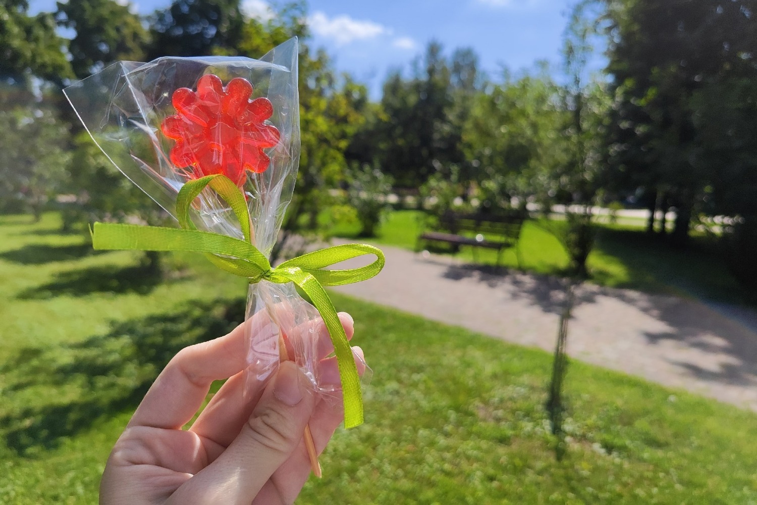 Леденец с прополисом 