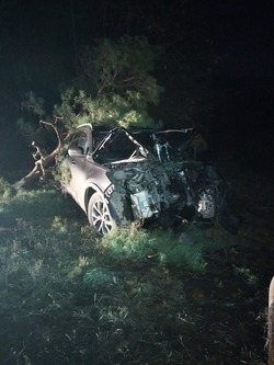 В Петровском округе водитель иномарки врезался в дерево