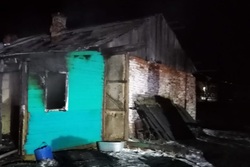 В Тамбовской области погибла в пожаре 7-летняя девочка
