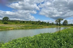 Три километра реки Лесной Тамбов почистят в этом году в Рассказовском округе