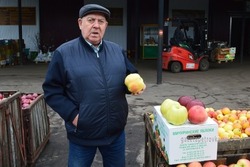 Петровские садоводы вырастили яблоки весом более килограмма 