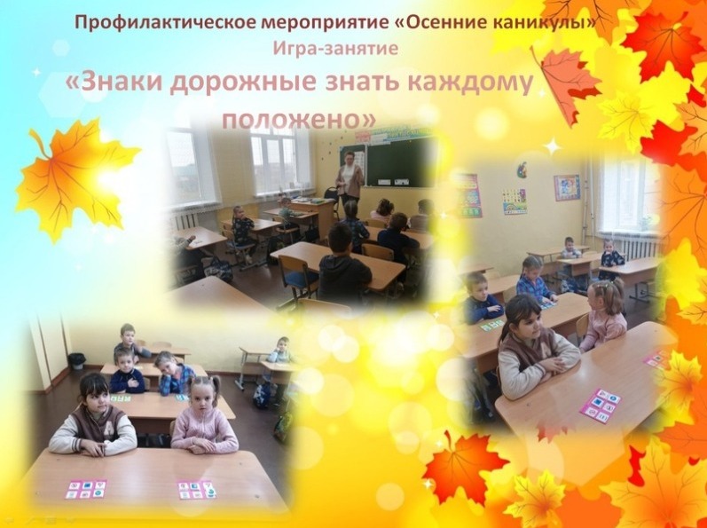 В Мичуринском округе проводят профилактическое мероприятие «Осенние ...