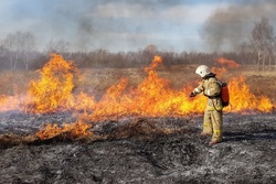 В Мичуринске при возгорании травы погибла пенсионерка