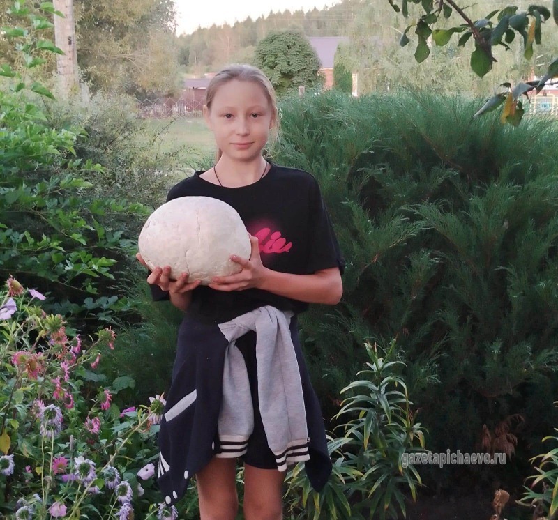 Гриб-гигант нашли в пичаевском селе 