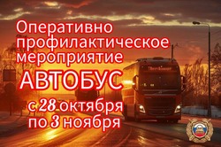 Тамбовские гаишники возьмутся за автобусы