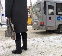 Автобус № 151 будет ходить в деревню Лужки