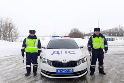 Тамбовские автоинспекторы спасли ночью замерзающую на автодороге  жительницу Москвы
