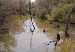 В тамбовский Студенец незаконно сбрасывают сточные воды 