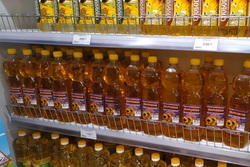 Тамбовская область увеличила экспорт растительного масла