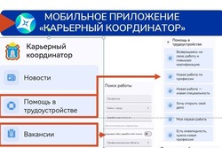 В Тамбовской области разработали приложение по поиску работы для участников СВО