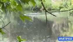 В Тамбове вновь зафиксировано загрязнение реки Цны сточными водами