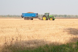На развитие сельского хозяйства Тамбовщина в этом году получила более 2 млрд рублей