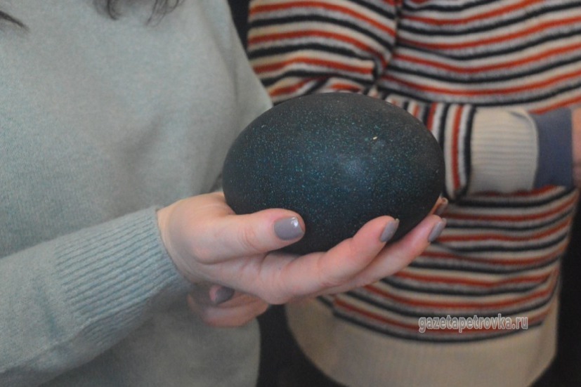 Одно страусиное яйцо стоит несколько тысяч рублей