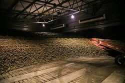 Крупный поставщик картофеля в Тамбовской области расширяет хозяйство