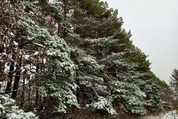 Минэкологии региона разработало новые правила туризма на территории Тамбовщины